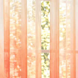 One sheer curtain panel