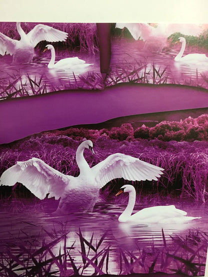 Beautiful Swan Glace Cotton Bedsheet